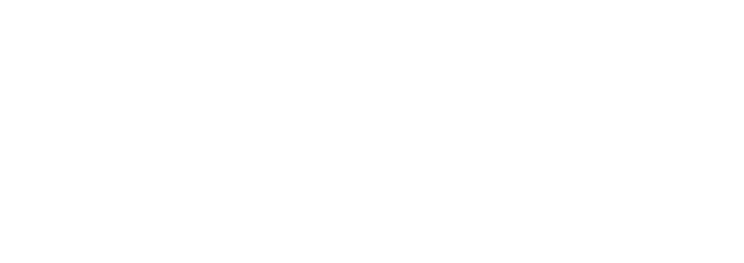 101